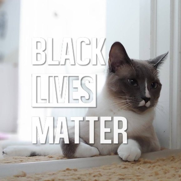 Meet your Posher, Kaye - Picture 1 of 1